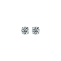 Norbu 1.0 - Puces d'oreilles